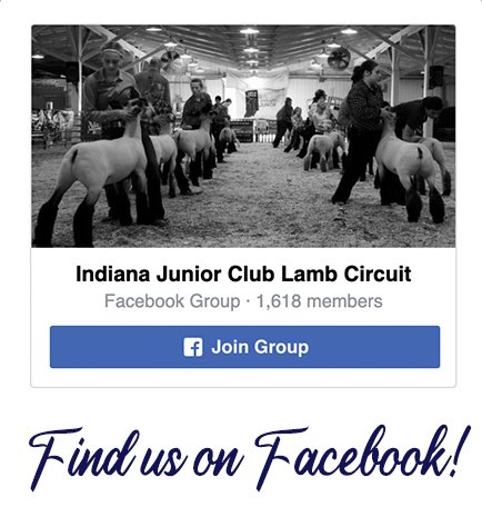 Indiana Junior Club Lamb Circuit Facebook
